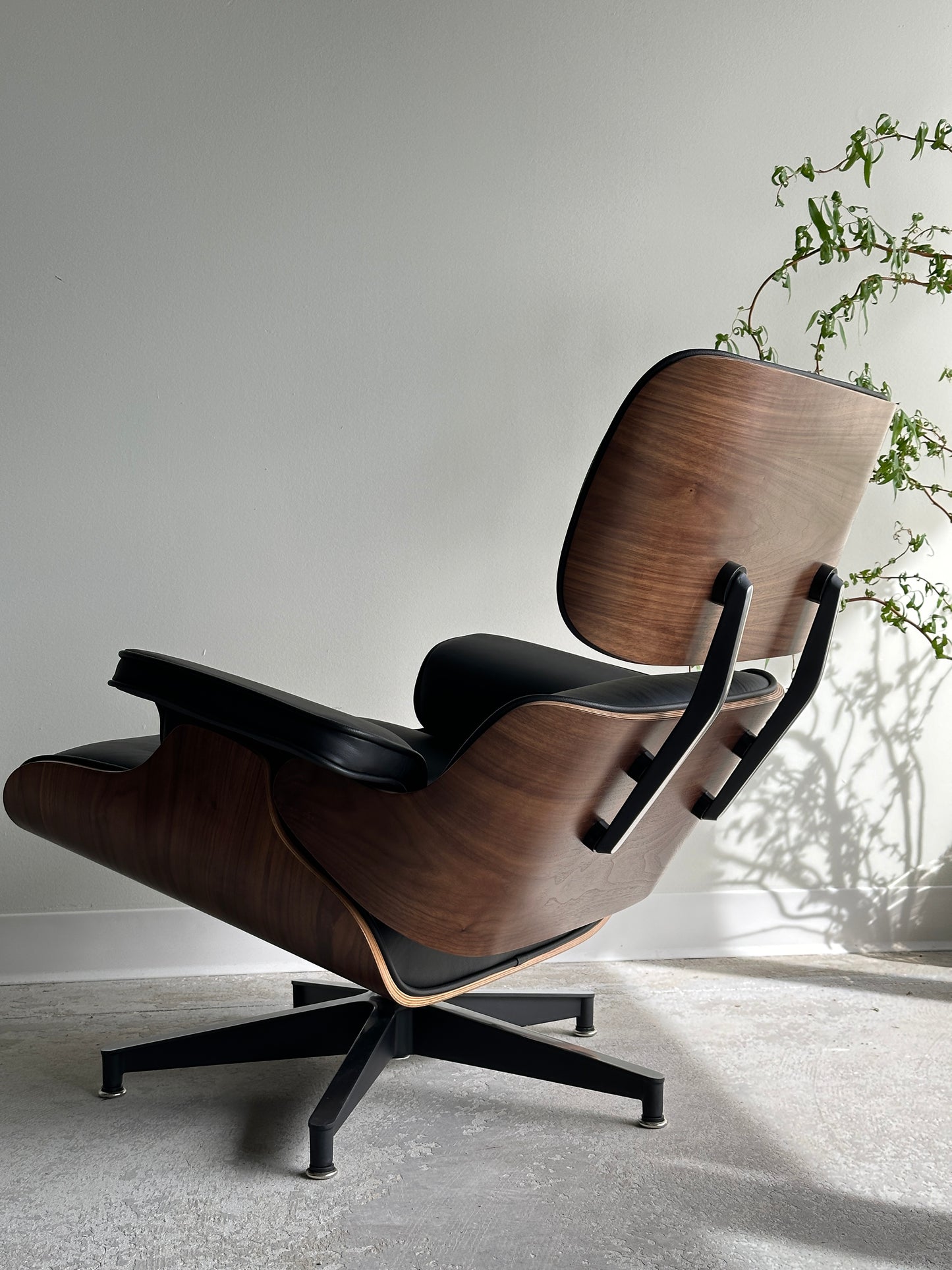 Emes classic chair